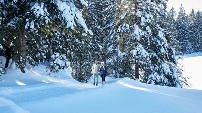 Mittersill: Winterwandern Wasenmoos