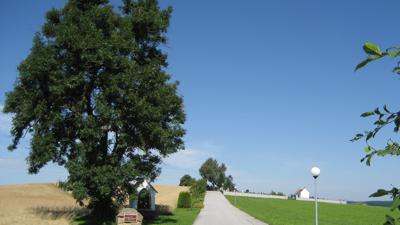 Mohnhofweg – Mohnmuseum