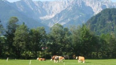 Moosen – Peternhof