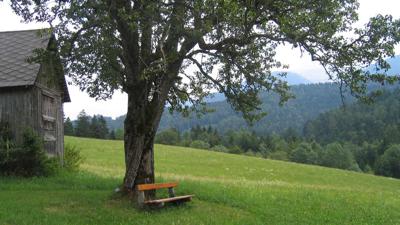 Mostbauern-Runde (RundWanderWelt Hinterstoder)