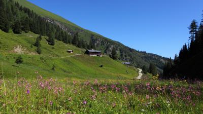 Hüttschlag: Harbachalm