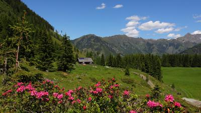 Hüttschlag: Hirschgrubenalm