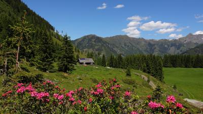 Hüttschlag: Hirschgrubenalm