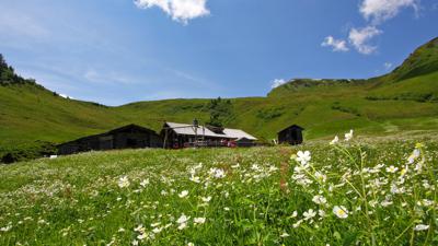 Hüttschlag: Hirschgrubenalm – Aschlreitalm