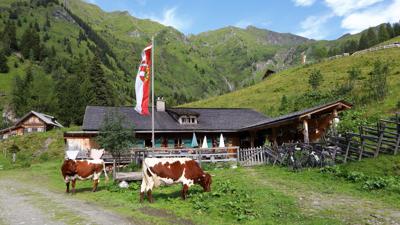 Hüttschlag: Kreealmen