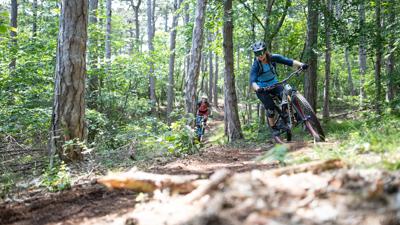 Krauste Linde Trail