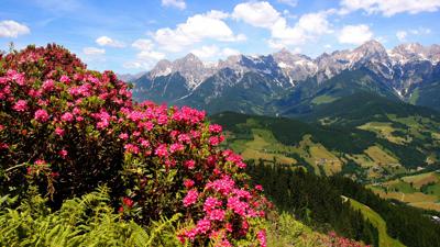 Kulinarische Königstour Hike: ALMKRAFT