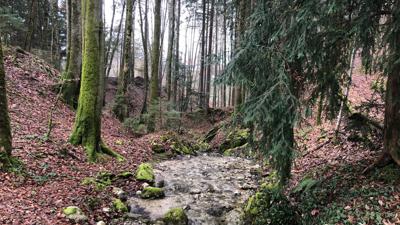 Kupfer Wanderweg