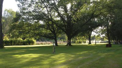 Kurparkweg Gesundheit – Bewegungs-Arena