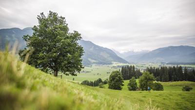 Trebesiner Weg