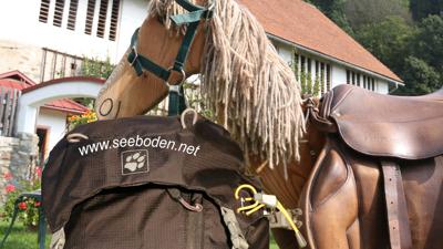 Trefflinger Hofrunde