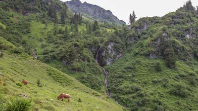 Tristkogel
