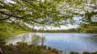 Uferrundwanderweg-Rund um den Laudachsee in Gmunden