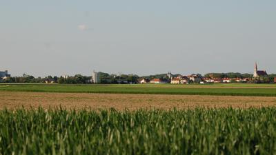 Ulmenrunde Lichtenwörth