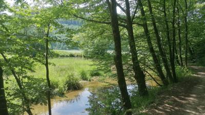 Schlossblickrunde