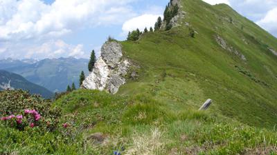 Neukirchen: Bettlersteig