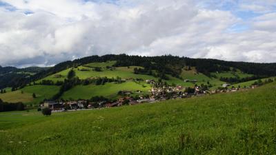 Niederau-Auenweg-Waldrandweg