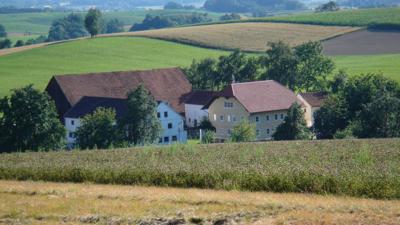 Niederhamer Weg