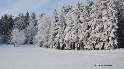25 Glasaurunde