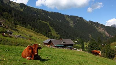 4-Tages-Wanderung von Großarl nach Hüttschlag