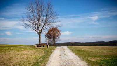 40 Bernhardschlägerrunde „GUUTE Wanderweg“