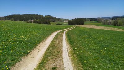 42 Spitzwies – Wanderweg