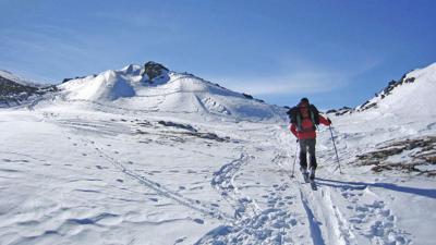 Fotscher Windegg