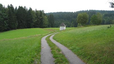 Froschaurunde