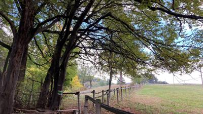Further Niemtal Hofladen Genusswanderung