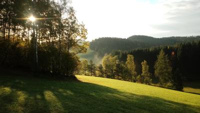 Fürlinger Runde