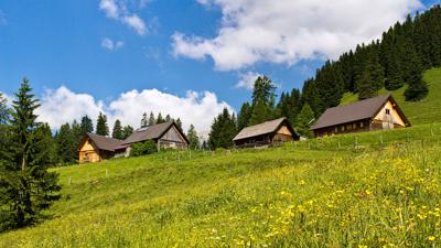 Gammeringalmen von der Wurzeralm Bergstation zur Talstation