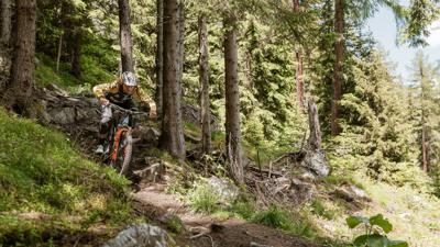 Leiterberg Trail (672)