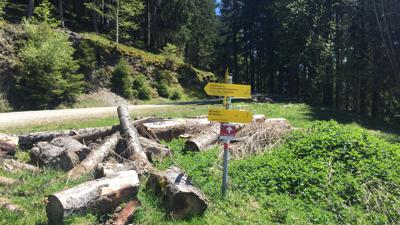 Uttendorf/Weißsee: Sommertor über Viertalalm