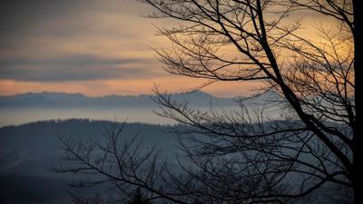 V3 Franz´l im Holz – Runde