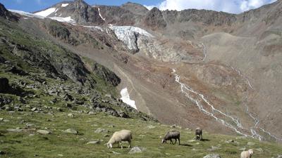 Vent – Wilder Mann – Breslauer Hütte – Stableinalm