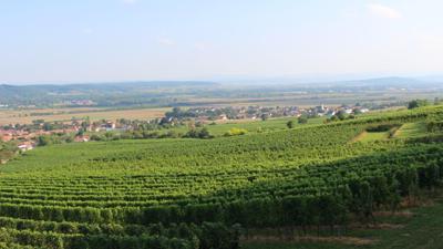 Venusberg-Tour