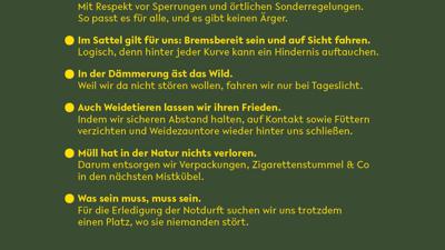 Verbindung Sterngartl