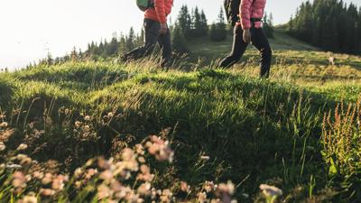 Vier Almen Wanderung in Dienten