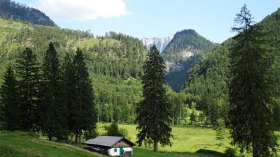 Gamskogel (1628 m)