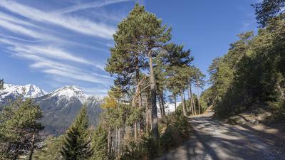 Geolehrpfad – Karröster Alm