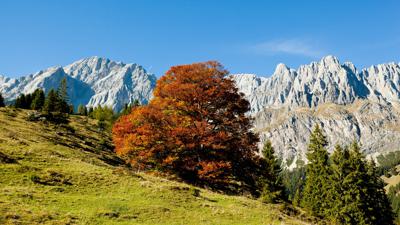 Der Weg der vielen Schritte – Pilgerwandern am Hochkönig