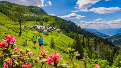 Die Karnische Milchstraße – ET01 Feistritzer Alm – Egger Alm