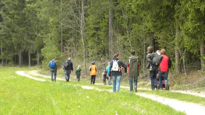 Die Kraft des Wassers