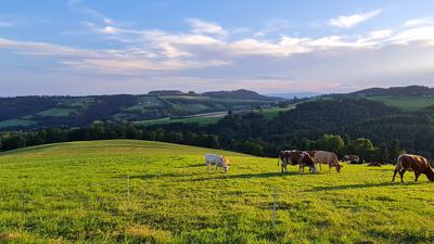 Distelleiten-Strecke