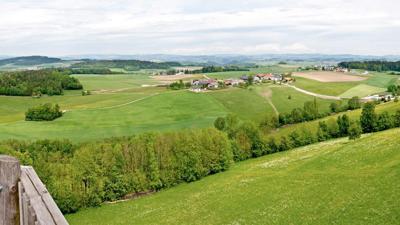 Donausteig Etappe 1_N04 Obermühl – St. Martin: „Gipfelsturm-Donautal & Mühlviertler Hochland“
