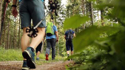 TUT GUT Wanderroute 1 Waidhofen/Ybbs