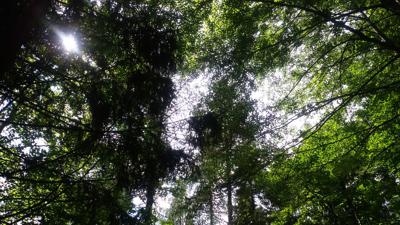 TUT GUT Wanderroute 3 Waidhofen/Ybbs