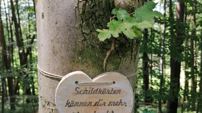 Tastelberg- Wanderweg der Herzen