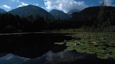 Teichl – Gleinkersee