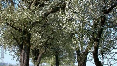 Teufelsgrabenweg
